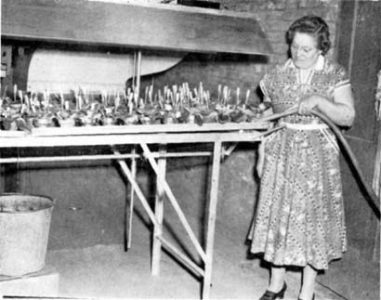 THE LADIES PAGE Image